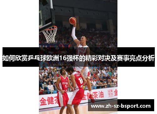 如何欣赏乒乓球欧洲16强杯的精彩对决及赛事亮点分析