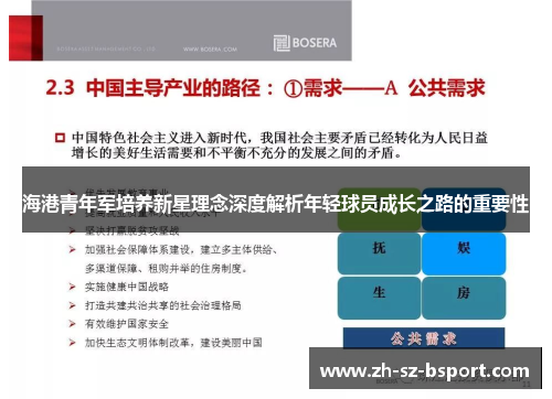 海港青年军培养新星理念深度解析年轻球员成长之路的重要性