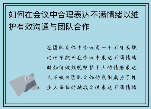 如何在会议中合理表达不满情绪以维护有效沟通与团队合作