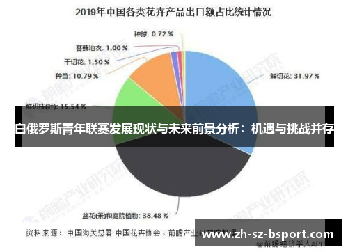 白俄罗斯青年联赛发展现状与未来前景分析：机遇与挑战并存